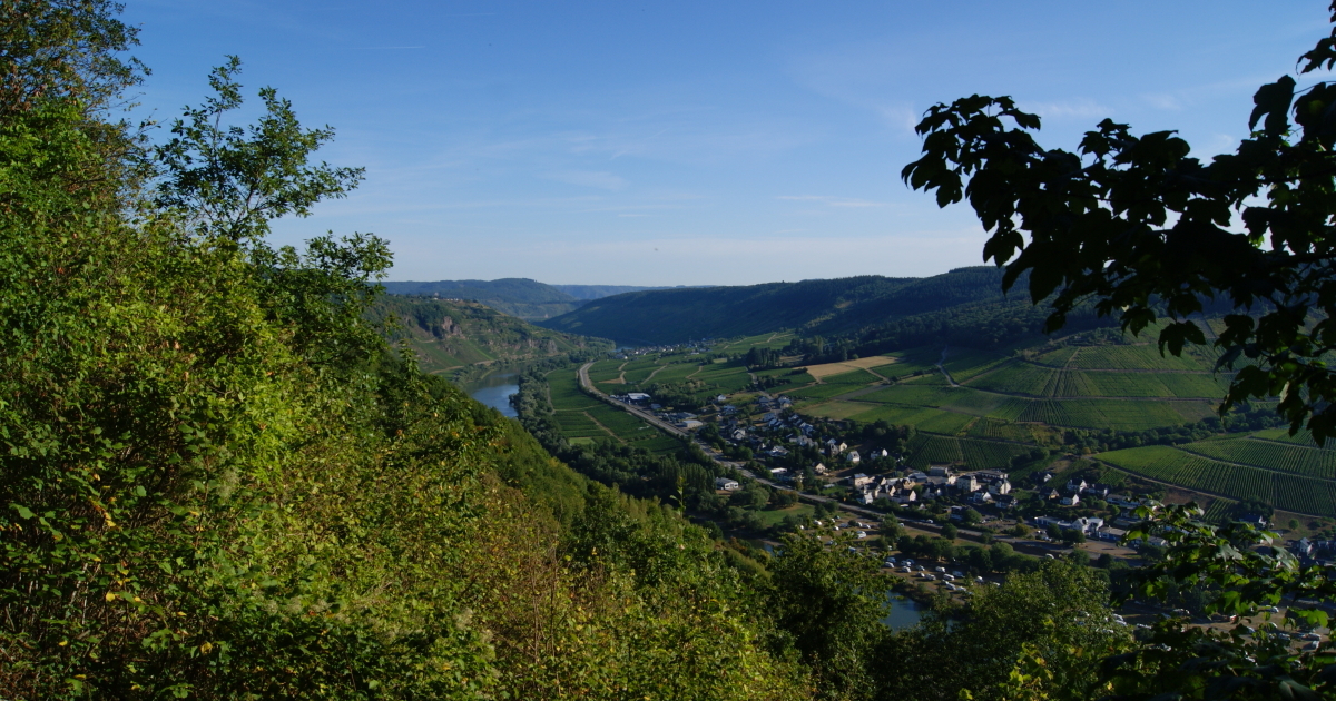 Mittelmosel - Blick auf Enkirch